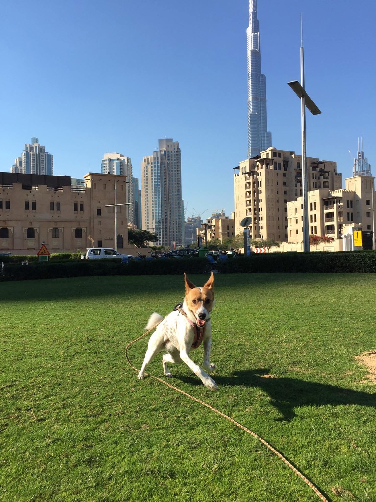 Pancake outdoors in Dubai with the Burj Khalifa in the background