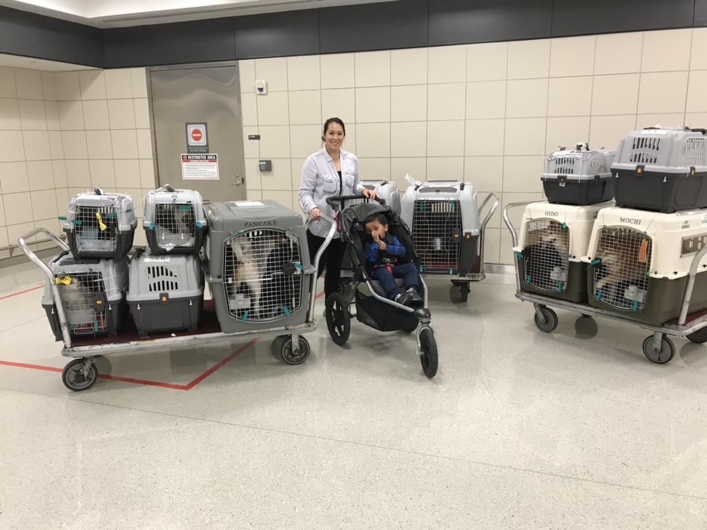 Gina and Krystian with the animal carriers after arriving safely in the United States