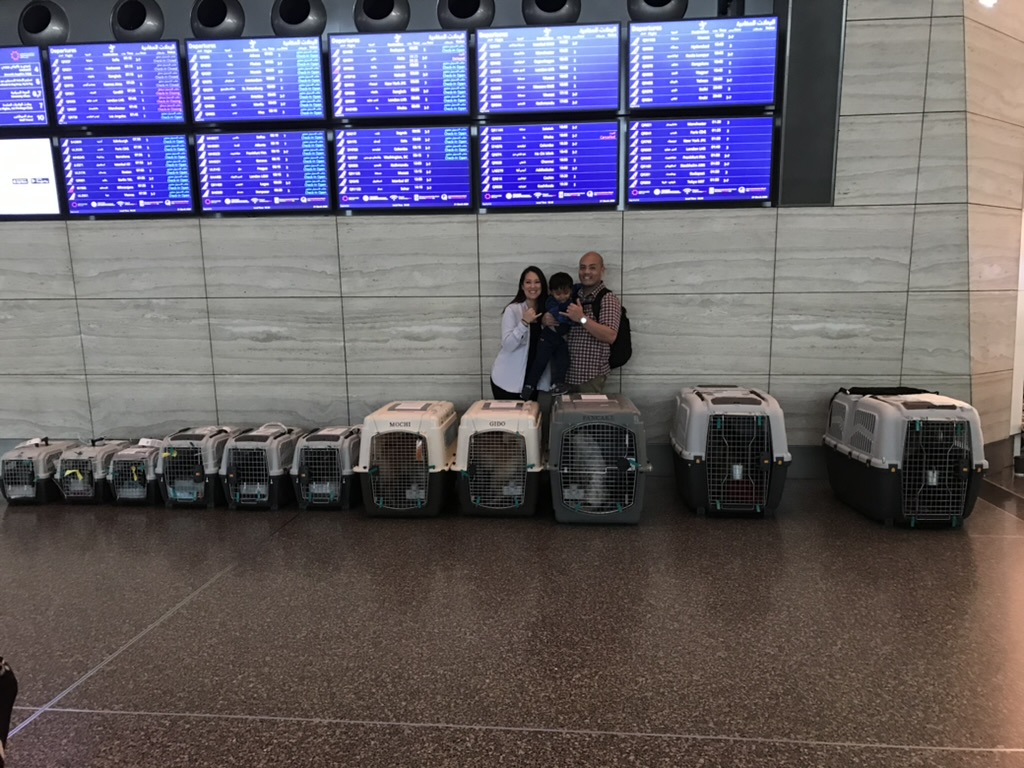 The family at Doha airport with animal carriers ready for departure