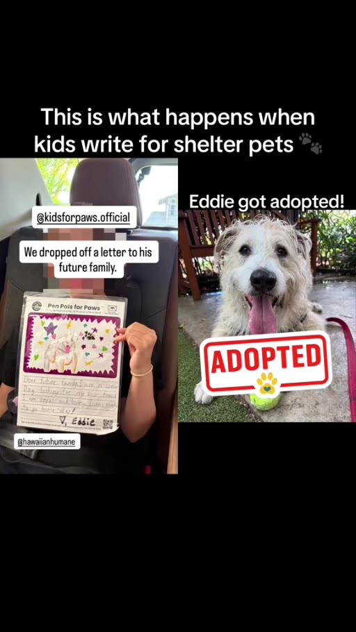 Eddie's adoption update after a Kids for Paws letter